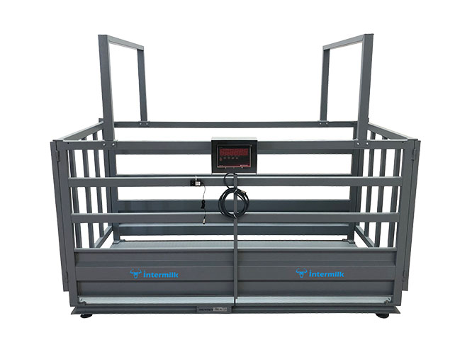 Весы для скота