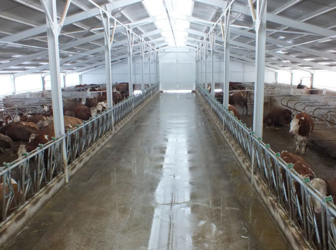 Кормовые решетки (Хэдлоки)